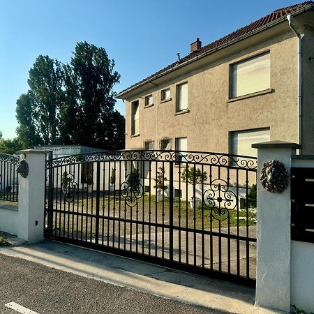 Dynasty Home Spa Appartement 100M2 Jacuzzi Terrasse Holtzheim Esterno foto